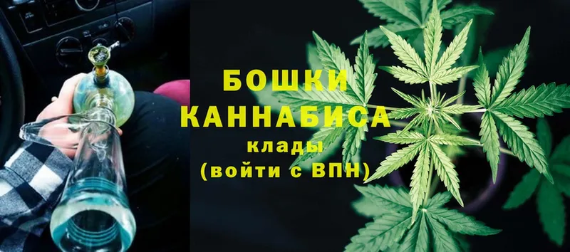 Каннабис Amnesia  Качканар 